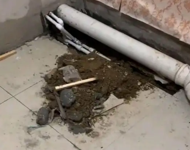 深圳卫生间漏水检测哪家好